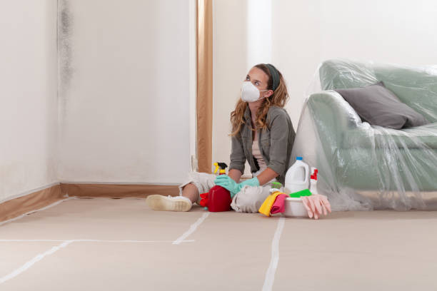 Reliable Mold Remediation contractor in Commack, NY by WQB Mold Removal